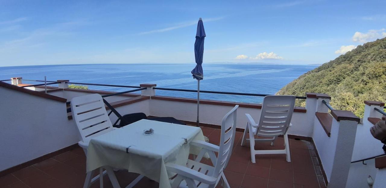 Hotel Oleandro