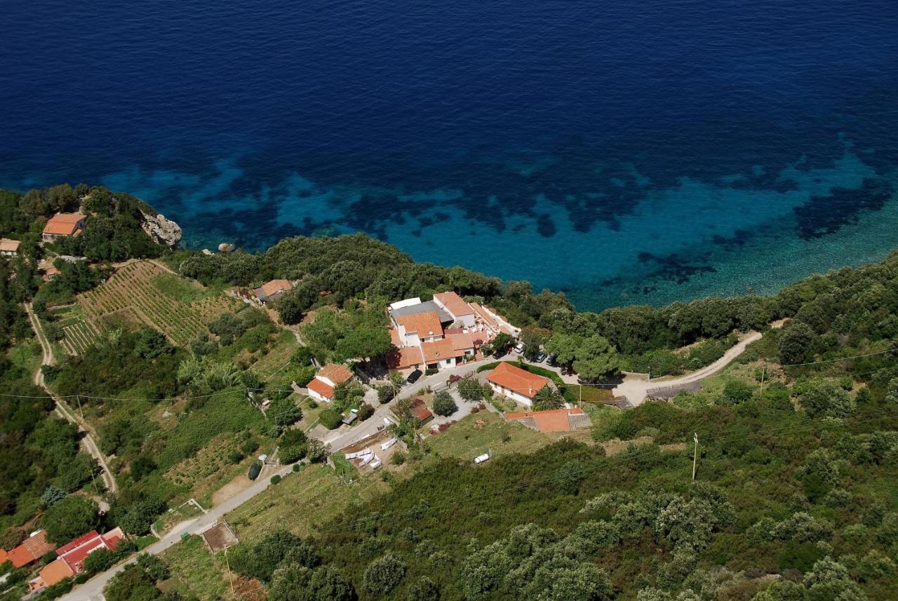 Oleandro Marciana (Isola d'Elba)