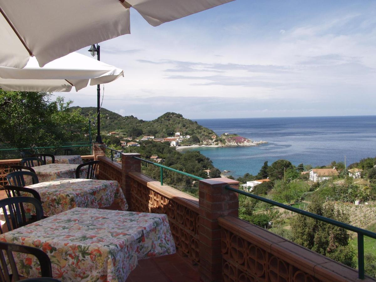 Oleandro Marciana (Isola d'Elba)