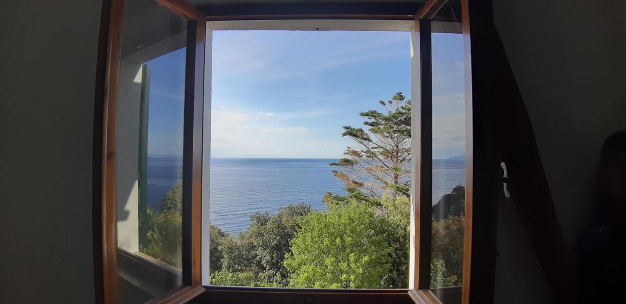 Oleandro Marciana (Isola d'Elba)