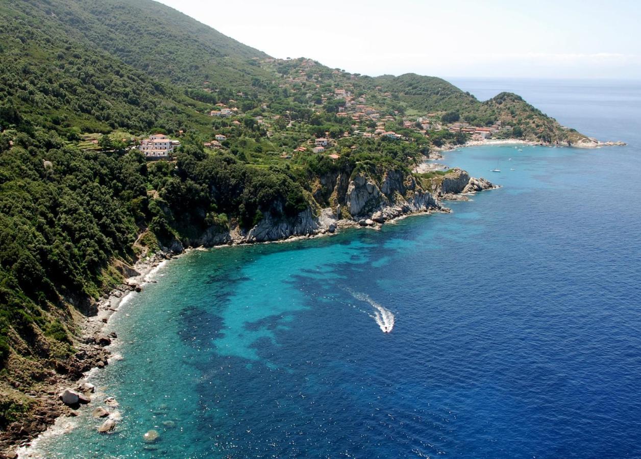 Oleandro Marciana (Isola d'Elba)